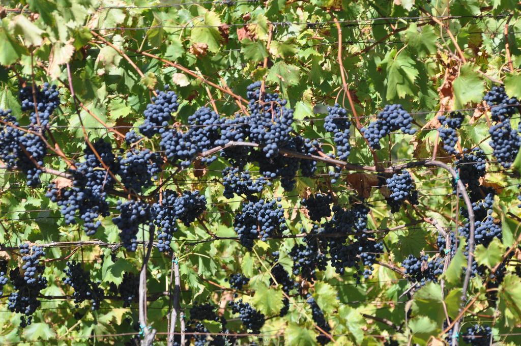 Ausserperskolerhof - Adults Only Fiè Buitenkant foto